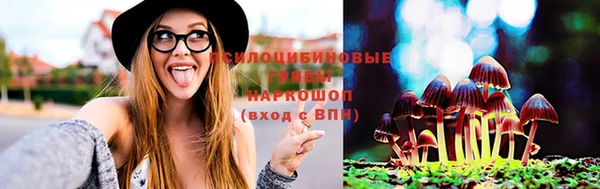 шишки Абаза