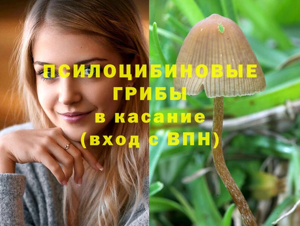 винт Абдулино