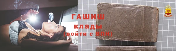 шишки Абаза