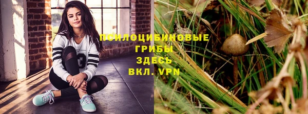 шишки Абаза