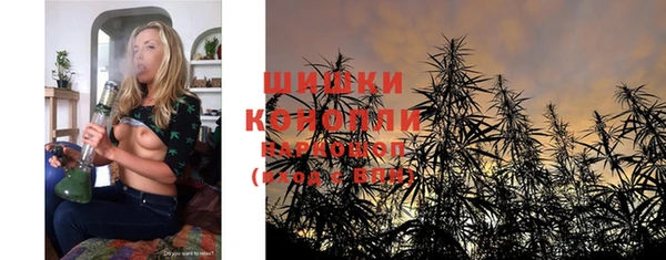 шишки Абаза