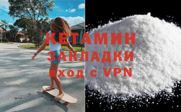 шишки Абаза