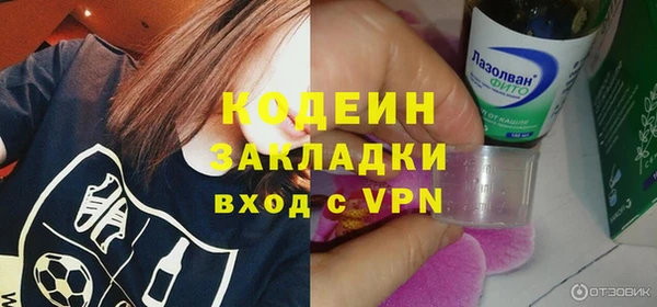 шишки Абаза
