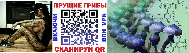 даркнет сайт  Сысерть  Галлюциногенные грибы мухоморы 